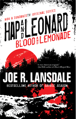 Joe R Lansdale