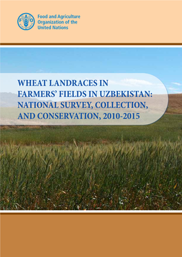 Wheat Landraces in Farmers' Fields in Uzbekistan