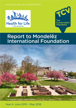 Report to Mondelēz International Foundation