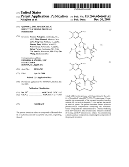 (12) Patent Application Publication (10) Pub. No.: US 2004/0266668A1 Nakajima Et Al