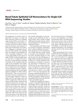 Renal-Tubule Epithelial Cell Nomenclature for Single-Cell RNA-Sequencing Studies