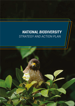 NATIONAL BIODIVERSITY STRATEGY and ACTION PLAN Federative Republic of Brazil President MICHEL TEMER