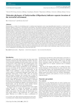 Molecular Phylogeny of Enchytraeidae (Oligochaeta) Indicates Separate Invasions of the Terrestrial Environment