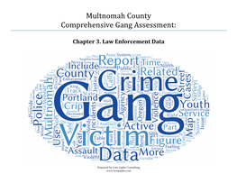 Multnomah County Comprehensive Gang Assessment