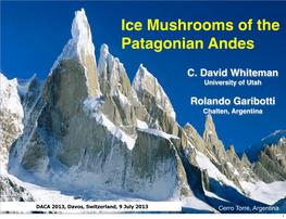 Ice Mushrooms of the Patagonian Andes