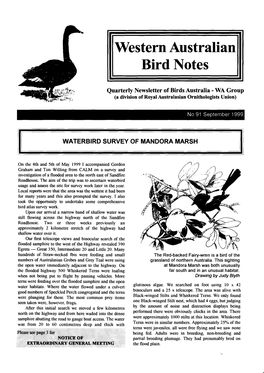 Western Australian Bird Notes