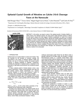 Epitaxial Crystal Growth of Nitratine on Calcite (10.4)