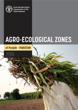 Agro-Ecological Zones in Punjab: Previous Efforts and Why This Work Is Essential