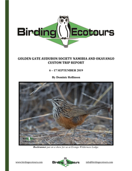 Golden Gate Audubon Society Namibia and Okavango Custom Trip Report