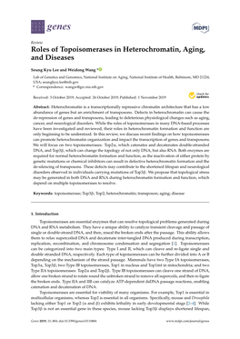 Roles of Topoisomerases in Heterochromatin, Aging, and Diseases