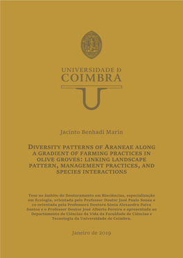 Diversity Patterns of Araneae Along a Gradient of Farming Practices in Olive Groves: Linking Landscape Pattern, Management Practices, and Species Interactions