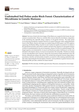 Undisturbed Soil Pedon Under Birch Forest: Characterization of Microbiome in Genetic Horizons