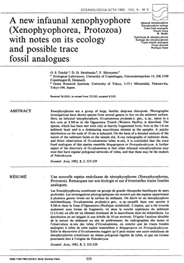 A New Infaunal Xenophyophore (Xenophyophorea