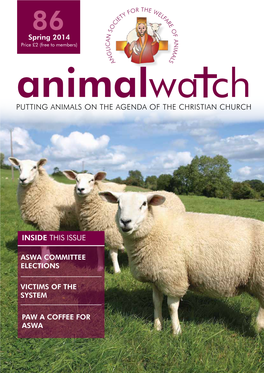 Putting Animals on the Agenda of the Christian Church