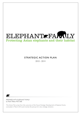 Strategic Action Plan 2010 - 2014