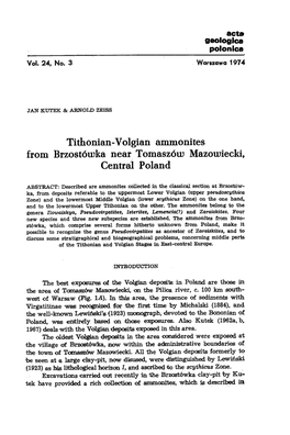 Tithônian-Volgian Ammonites from Brzost6wka Near Tomasz6w Mazowiecki, Centra] Poland