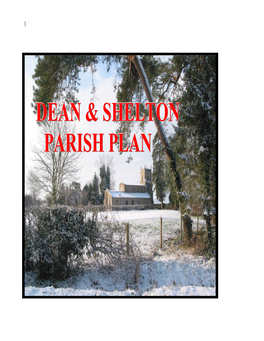 Dean & Shelton Parish Plan