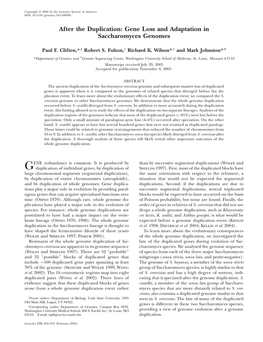 After the Duplication: Gene Loss and Adaptation in Saccharomyces Genomes