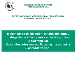 Seminario 7 Apicomplexa 2019.Pdf