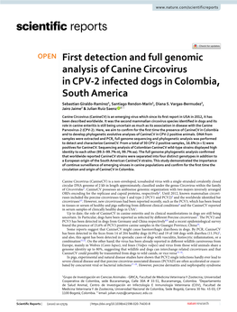 First Detection and Full Genomic Analysis of Canine Circovirus In