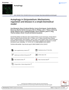 Autophagy in Dictyostelium: Mechanisms, Regulation and Disease in a Simple Biomedical Model