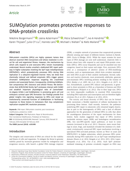 Sumoylation Promotes Protective Responses to DNA‐Protein Crosslinks