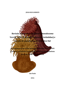 Cnidaria: Actiniaria: Actiniidae) E Estudo De Populações Do Atlântico Sul