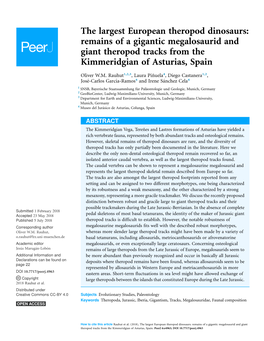 The Largest European Theropod Dinosaurs: Remains of a Gigantic Megalosaurid and Giant Theropod Tracks from the Kimmeridgian of Asturias, Spain