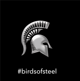 Birdsofsteel