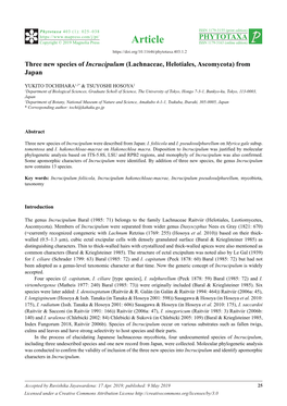 Three New Species of Incrucipulum (Lachnaceae, Helotiales, Ascomycota) from Japan