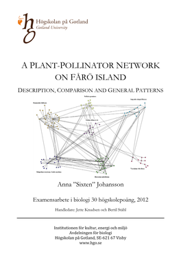 A Plant-Pollinator Network on Fårö Island Description, Comparison and General Patterns