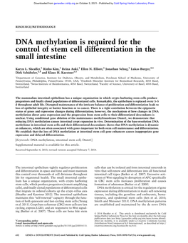 DNA Methylation Is Required for the Control of Stem Cell Differentiation in the Small Intestine