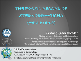 Fossil Record of Sternorrhyncha (Hemiptera)