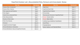 Powerpoint Handout: Lab 1, Musculoskeletal Pelvis, Perineum and Urinary System Review