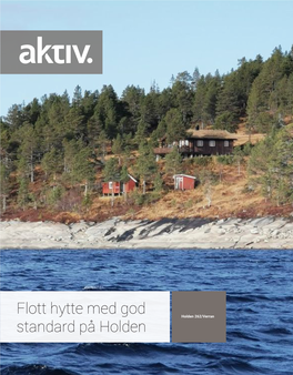 Flott Hytte Med God Standard På Holden