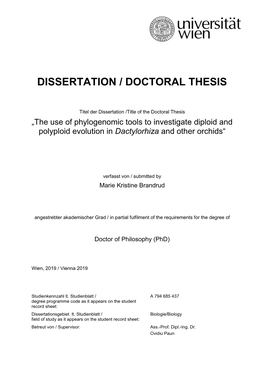 Dissertation / Doctoral Thesis