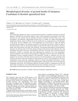 Morphological Diversity of Ground Beetles (Coleoptera: Carabidae) in Scottish Agricultural Land