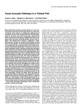 Vocal-Acoustic Pathways in a Teleost Fish