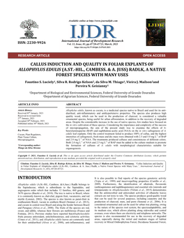 Callus Induction and Quality in Foliar Explants of Allophylus Edulis (A.St.-Hil., Cambess