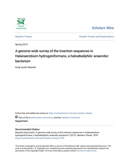 A Genome Wide Survey of the Insertion Sequences in Halanaerobium Hydrogeniformans, a Haloalkaliphilic Anaerobic Bacterium