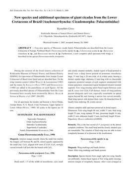 New Species and Additional Specimens of Giant Cicadas from the Lower Cretaceous of Brazil (Auchenorrhyncha: Cicadomorpha: Palaeontinidae)
