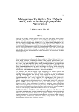 Relationships of the Wollemi Pine (Wollemia Nobilis) and a Molecular Phylogeny of the Araucariaceae