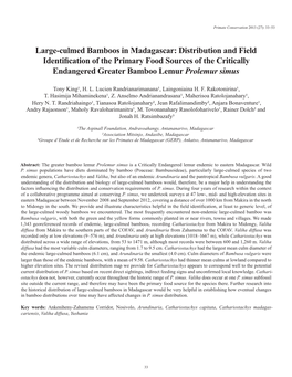 Large-Culmed Bamboos in Madagascar: Distribution and Field Identification of the Primary Food Sources of the Critically Endangered Greater Bamboo Lemur Prolemur Simus