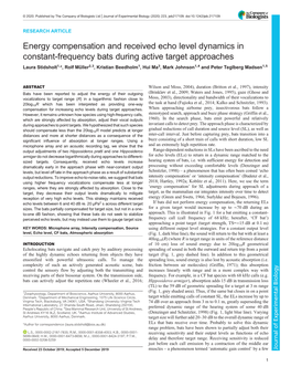 Energy Compensation and Received Echo Level Dynamics in Constant