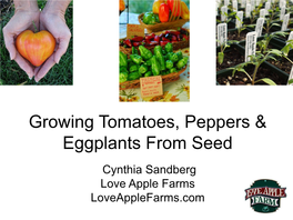 Growing Tomatoes, Peppers & Eggplants From