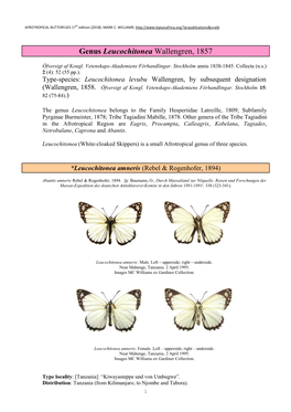 029 Genus Leucochitonea Wallengren