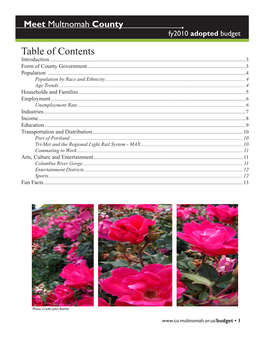 Table of Contents