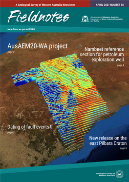 Ausaem20-WA Project Page 3 Nambeet Reference Section for Petroleum Exploration Well Page 4