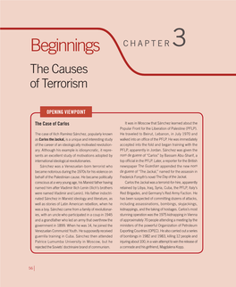 Beginnings CHAPTER 3 the Causes of Terrorism