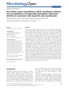 The Biofilm Matrix Destabilizers, EDTA and Dnasei, Enhance The